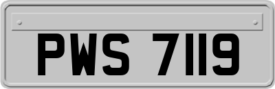 PWS7119