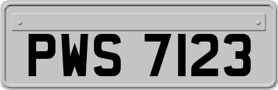 PWS7123