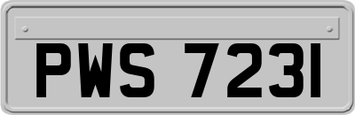 PWS7231