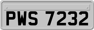 PWS7232