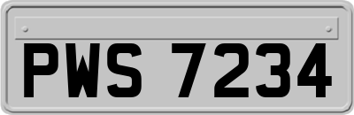 PWS7234