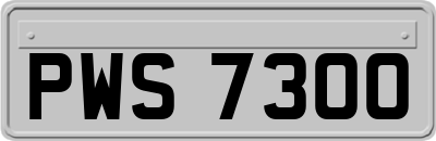 PWS7300