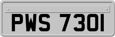 PWS7301