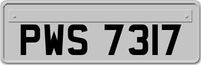 PWS7317