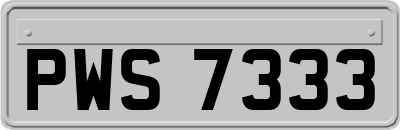 PWS7333