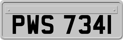 PWS7341