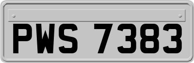 PWS7383