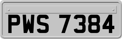 PWS7384