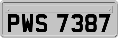 PWS7387