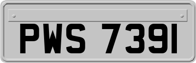 PWS7391