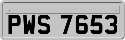 PWS7653