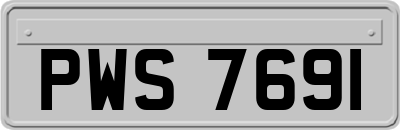 PWS7691