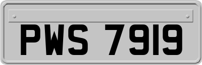 PWS7919