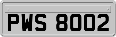 PWS8002