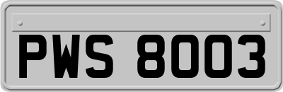 PWS8003