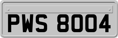 PWS8004