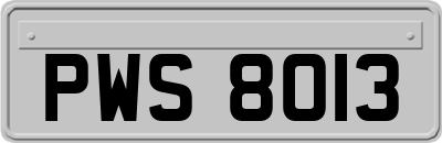 PWS8013