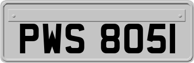 PWS8051