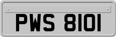 PWS8101