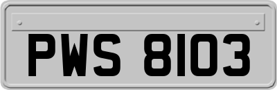 PWS8103