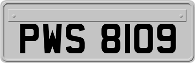 PWS8109