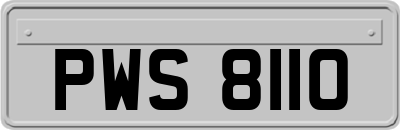 PWS8110