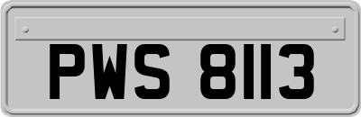 PWS8113