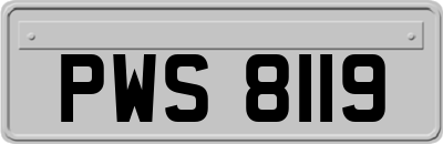 PWS8119