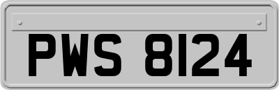 PWS8124