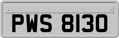 PWS8130