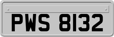 PWS8132