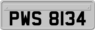 PWS8134