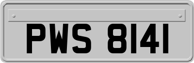 PWS8141