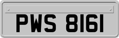 PWS8161