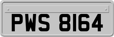 PWS8164