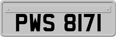 PWS8171