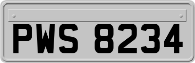 PWS8234