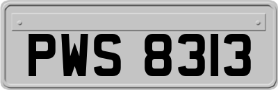 PWS8313