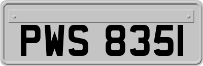 PWS8351