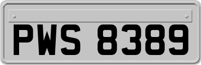 PWS8389