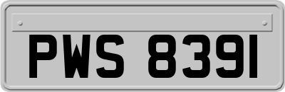 PWS8391