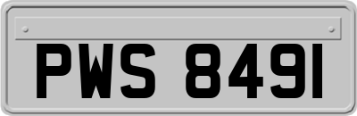 PWS8491