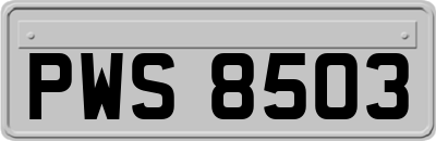 PWS8503