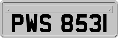 PWS8531