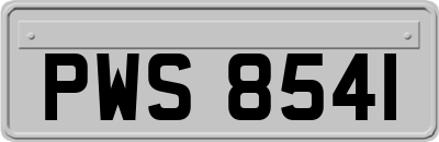 PWS8541