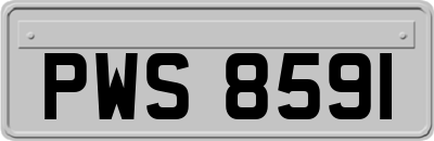 PWS8591