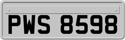 PWS8598