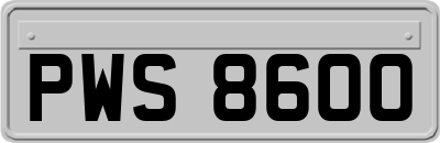 PWS8600