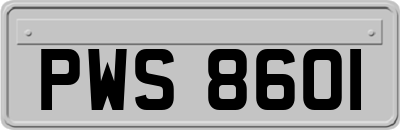 PWS8601