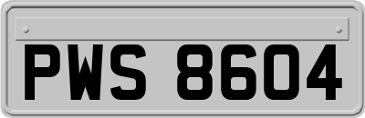 PWS8604